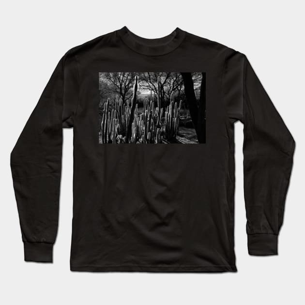 Goal Post Opuntia Long Sleeve T-Shirt by Imagery